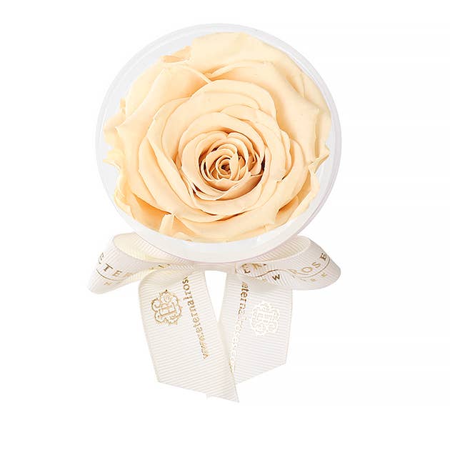 Eternal Roses® - Wholesale Party Favor - Eternal Rose Party Favors20