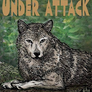 Ricardo Levins Morales Art Studio - Wholesale Stationery/Notecard Set - Nonprofit Survival Kit - Set of 12 Cards1