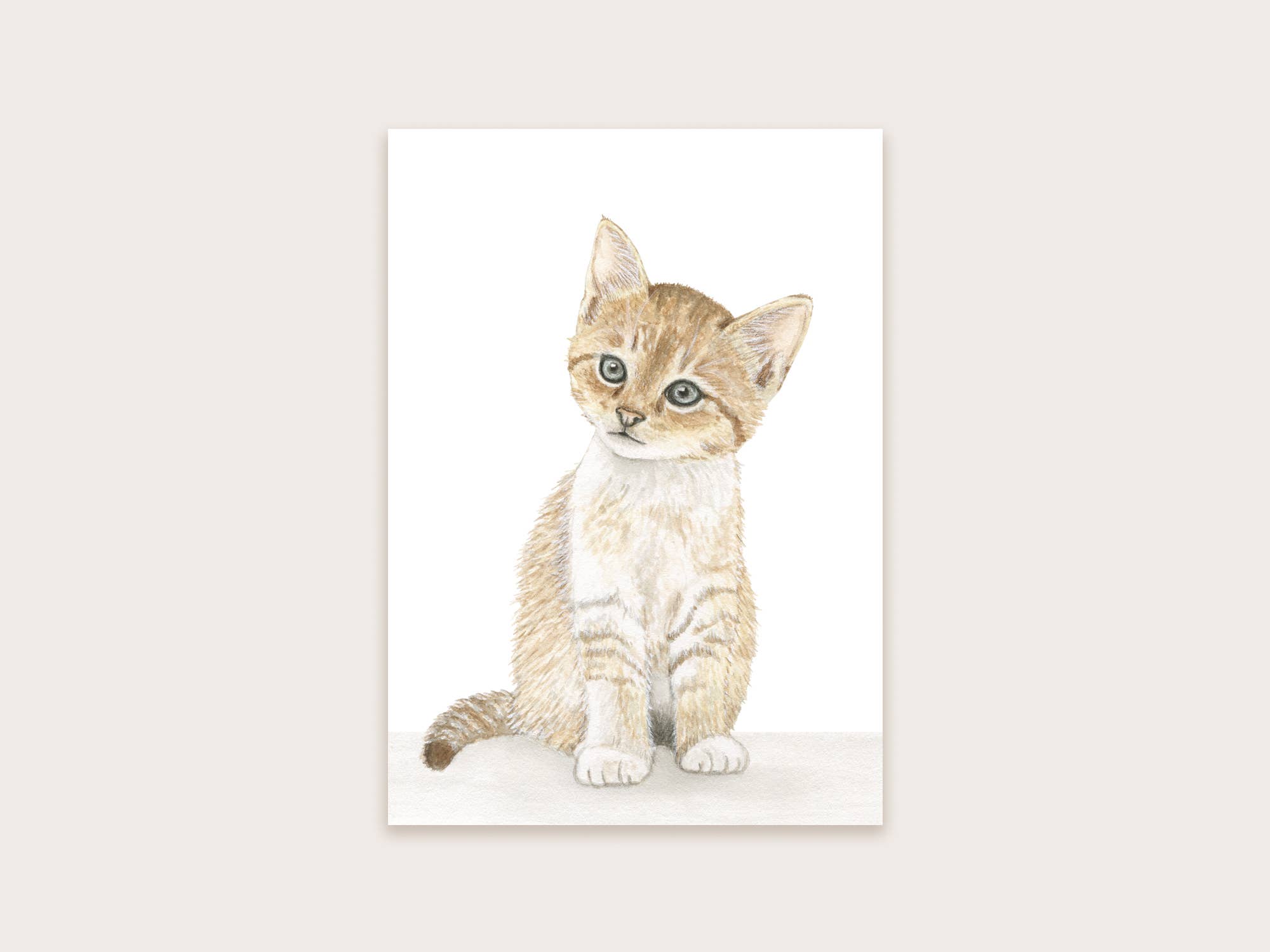 Appeloogje - Wholesale Everyday Greeting Card - Postcard cat2