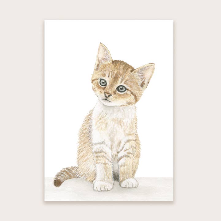 Appeloogje - Wholesale Everyday Greeting Card - Postcard cat2