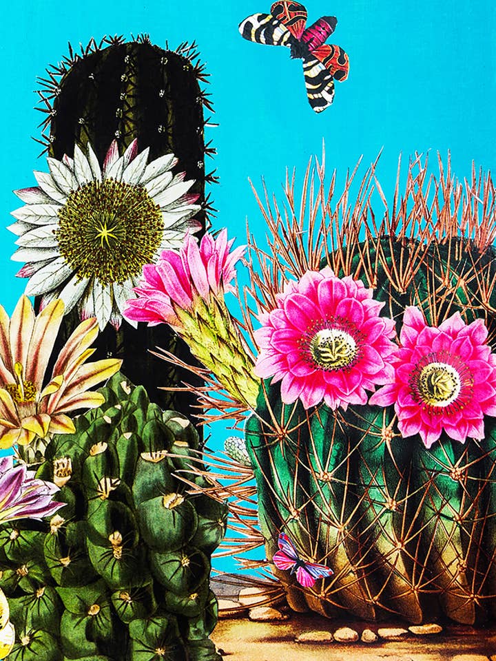 Big Cacti 2 Eco-Friendly Everyday Greeting Card for wholesale by Diana Wilson Arcana