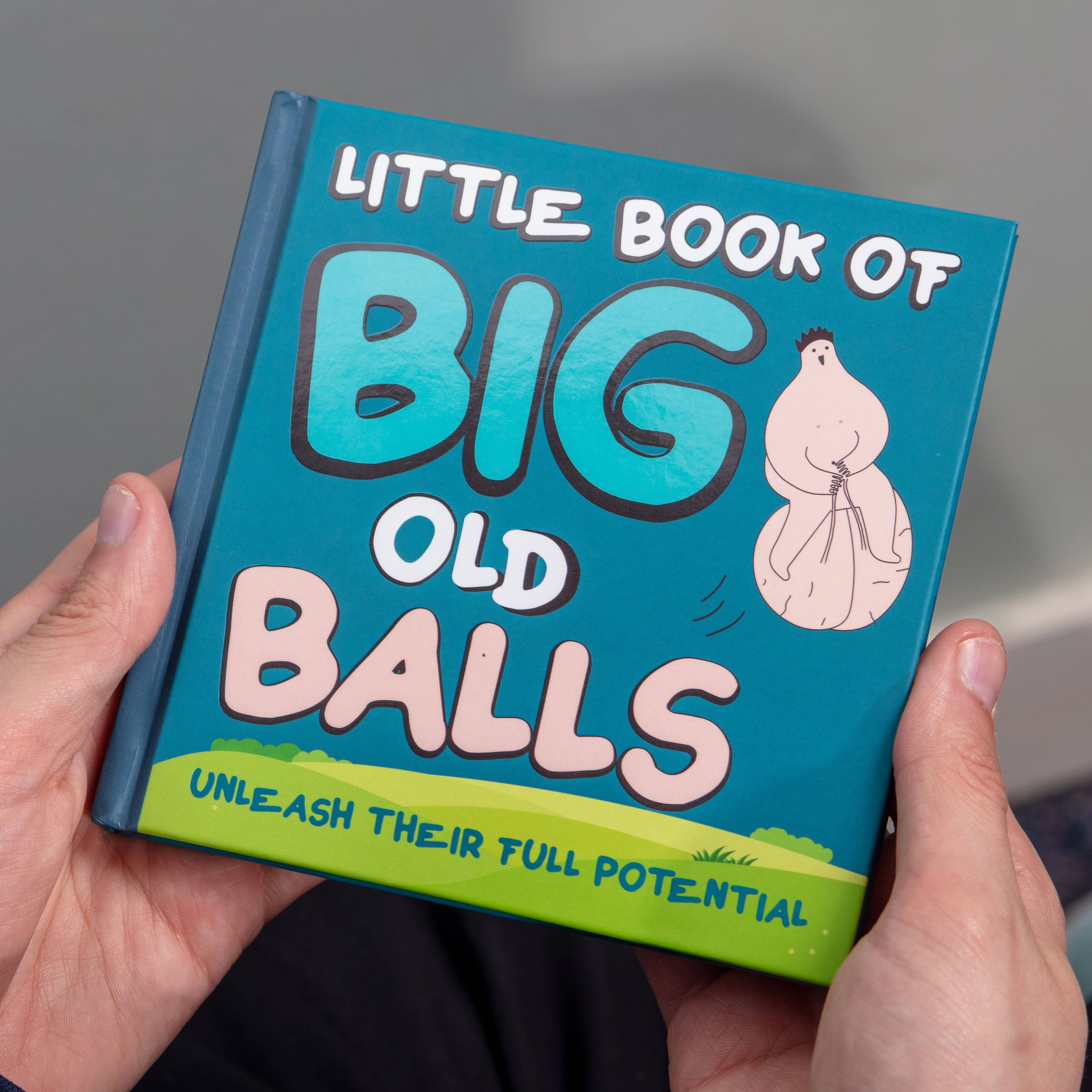 Boxer Gifts EU - Wholesale Early Reader Book (6-8) - Little Book of Big Old Balls