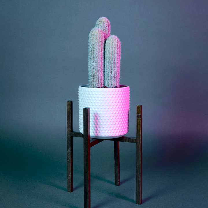 Maison Tessier - Venta al por mayor Macetas - ITUS PUSILLI - soporte para plantas robusto y versátil1