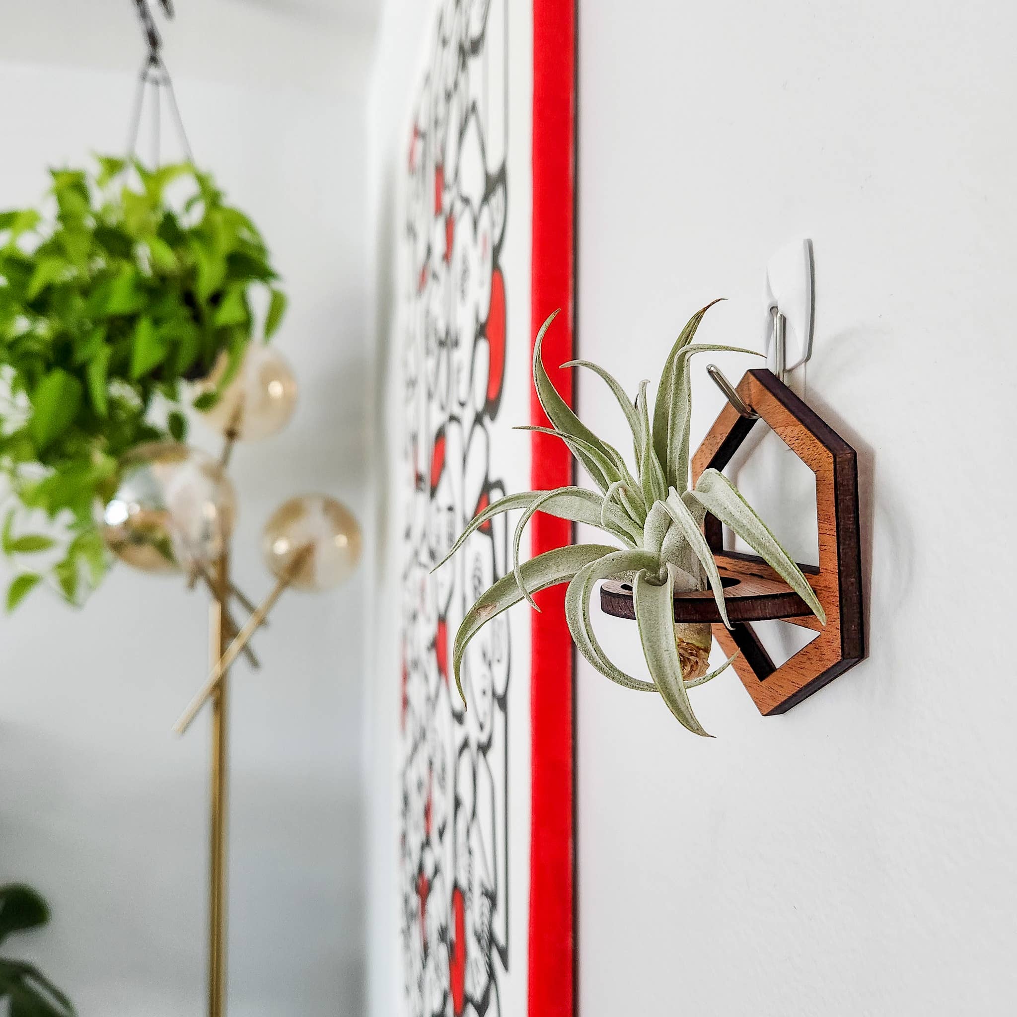 Leaf & Node - Wholesale Hanging Planter - Air Plant Holder, Wall Hanging, Wooden Hexagon Outline9