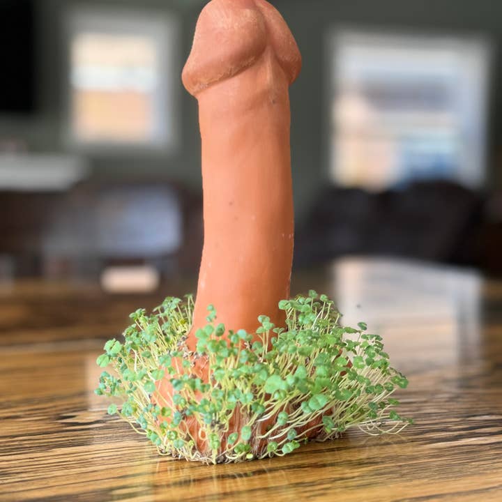 Pube Pet - Wholesale Gag Gift/Novelty Gift - Pube Pet sprouting chia penis planter handmade gag gift4