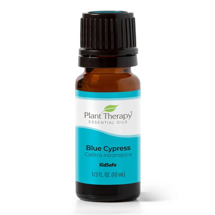 Plant Therapy - Wholesale Essential Oil - Blue Cypress Essential Oil 10 mL