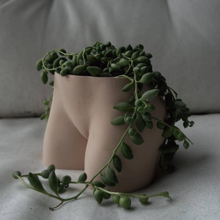 Peachy Pilea - Wholesale Plant Pot - Peachy Tattoo Cheeky Planter | More Colors Available3