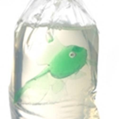 Just Bubbly - Wholesale Bar Soap - My Pet Fish®