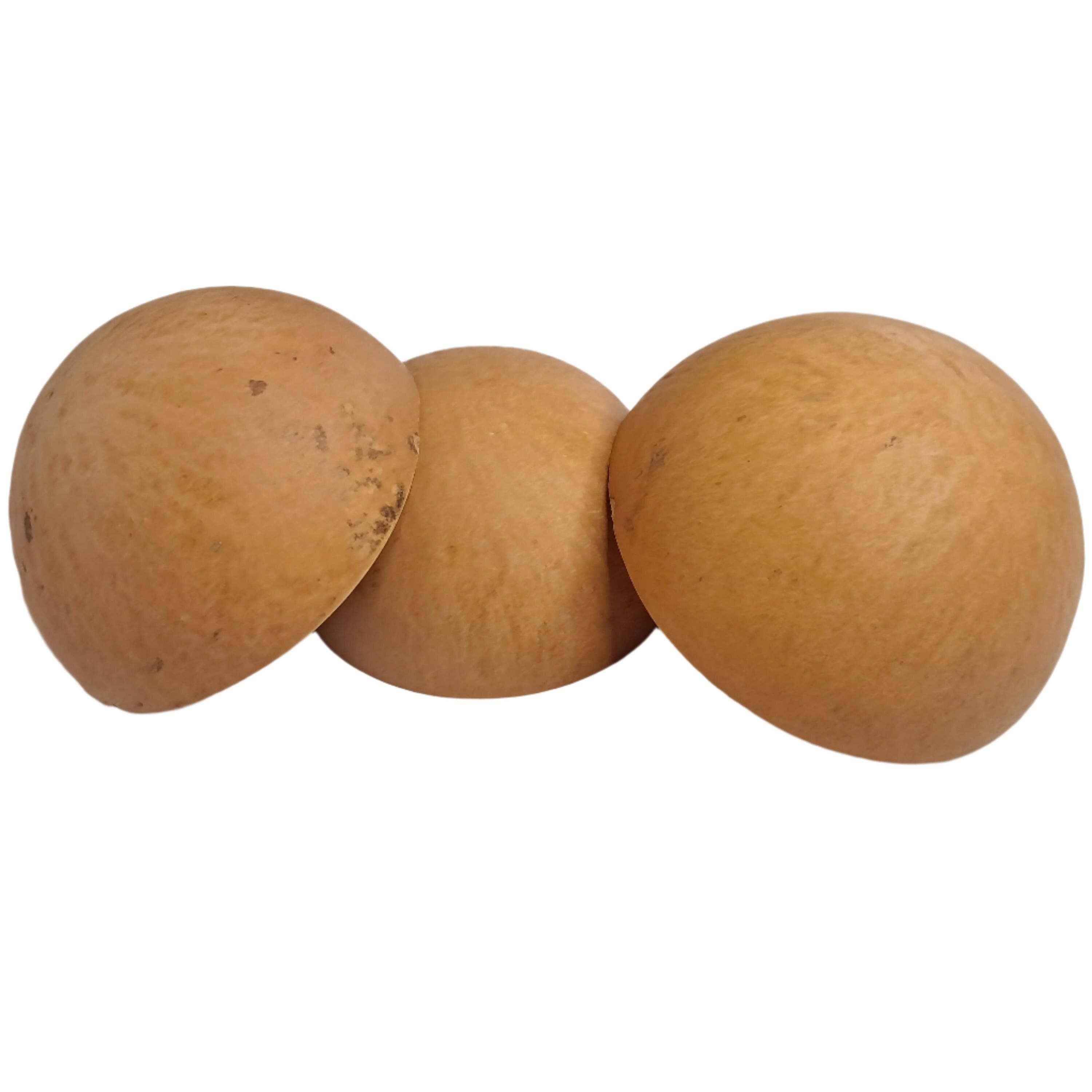 MadeinGhanaShop - Wholesale Decorative Plate/Dish/Bowl - Calabash from Ghana - 20 pieces1