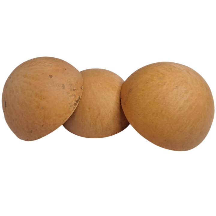 MadeinGhanaShop - Wholesale Decorative Plate/Dish/Bowl - Calabash from Ghana - 20 pieces1