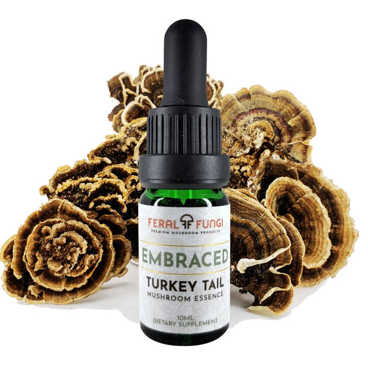 Feral Fungi - Wholesale Tincture - Turkey Tail Essence - Spagyric Essence