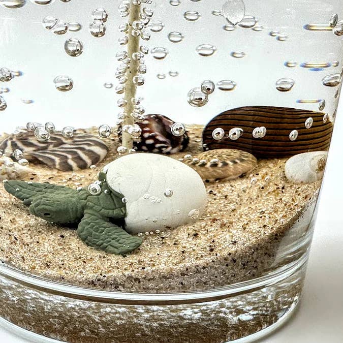 Devonian Coast - Wholesale Novelty Candle - Sea Turtle Hatchling Gel Candle – Medium 6oz Wax1