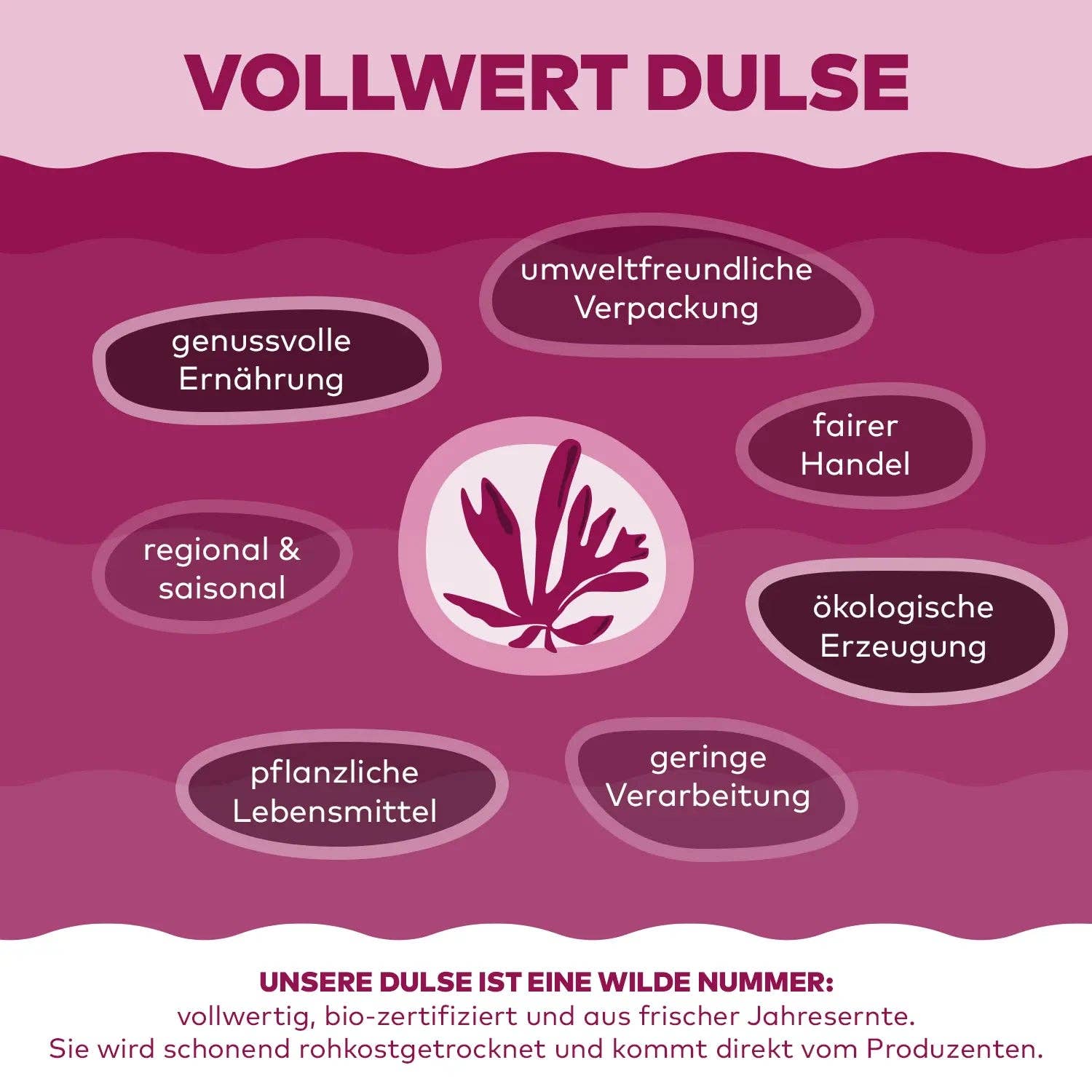 Algen Markt – wholesale Protein-/superfoodpulver – Dulseflingor4