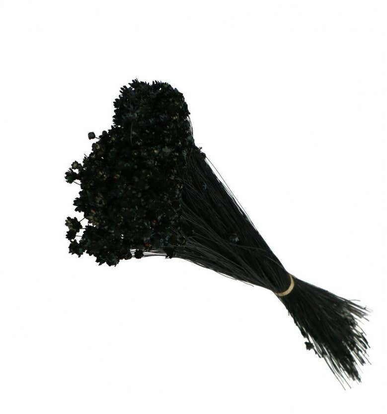 .AVPV. Studio - Wholesale Artificial Flowers - Glixia mini star flowers15