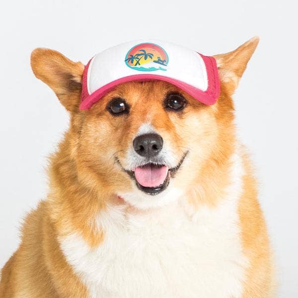 PupLid - Wholesale Pet Hat - Dog - Surfer Dog Standard or Namedrop | Trucker Hat for Dogs5