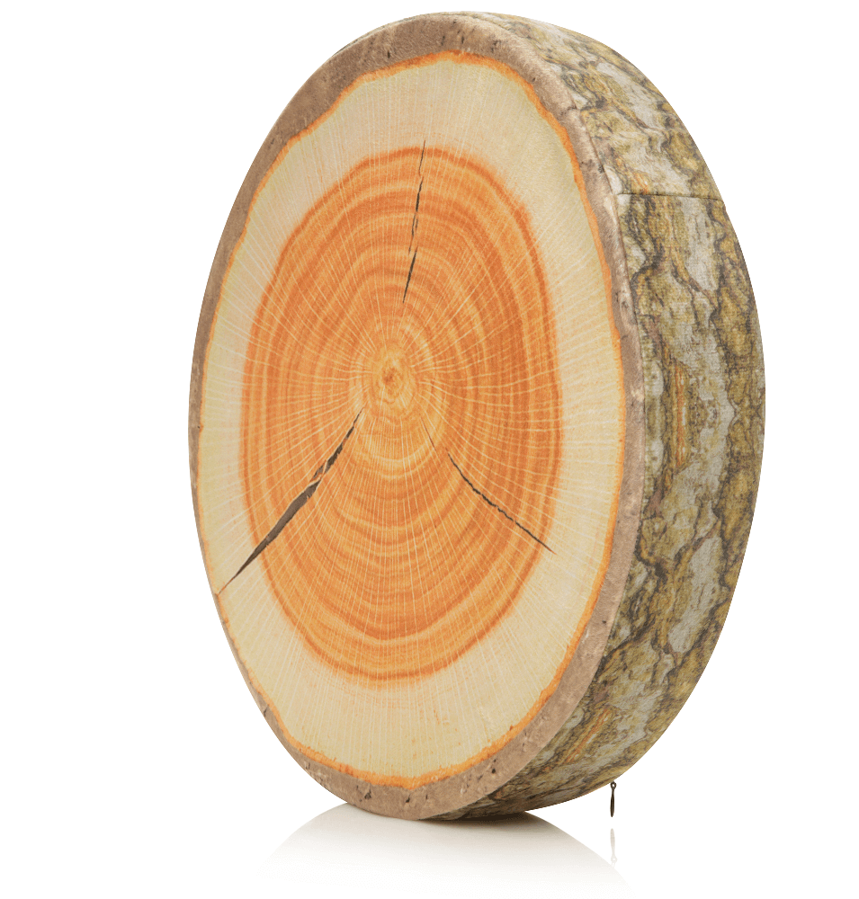 Husband Pillow - Vendita all'ingrosso Cuscini per letto - 360 - FETTA-REGISTRO-MAPL4