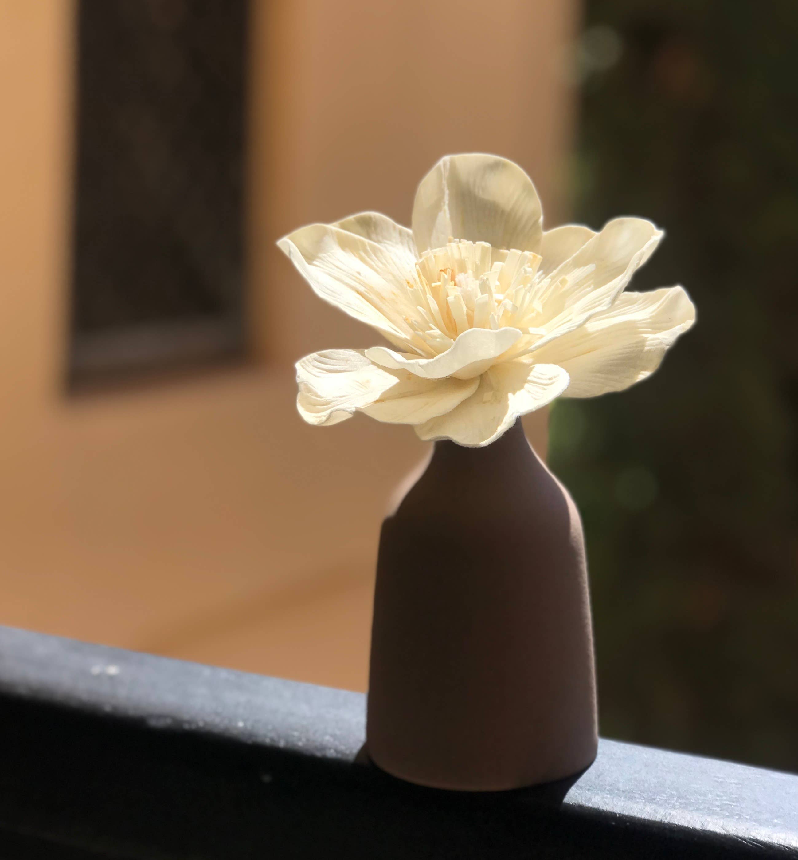 Anoq - Wholesale Reed Diffuser - Fragrance diffuser vase. Mana-cafe home perfumer6