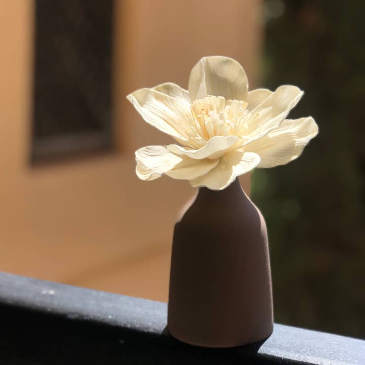 Anoq – Engroshandel Duftolie med pinde – Duftdiffusorvase. Mana-cafe hjemmeparfumer6