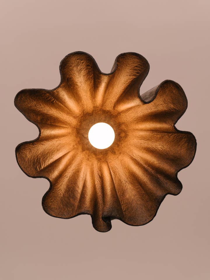 Obskure Kaffee groß für den Großhandel von Biohm - The Future of Home