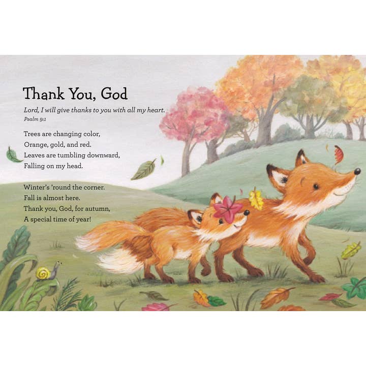 HarperCollins Christian Publishing - Wholesale Baby & Toddler Book (0-2) - Snuggle Time Fall Blessings 1