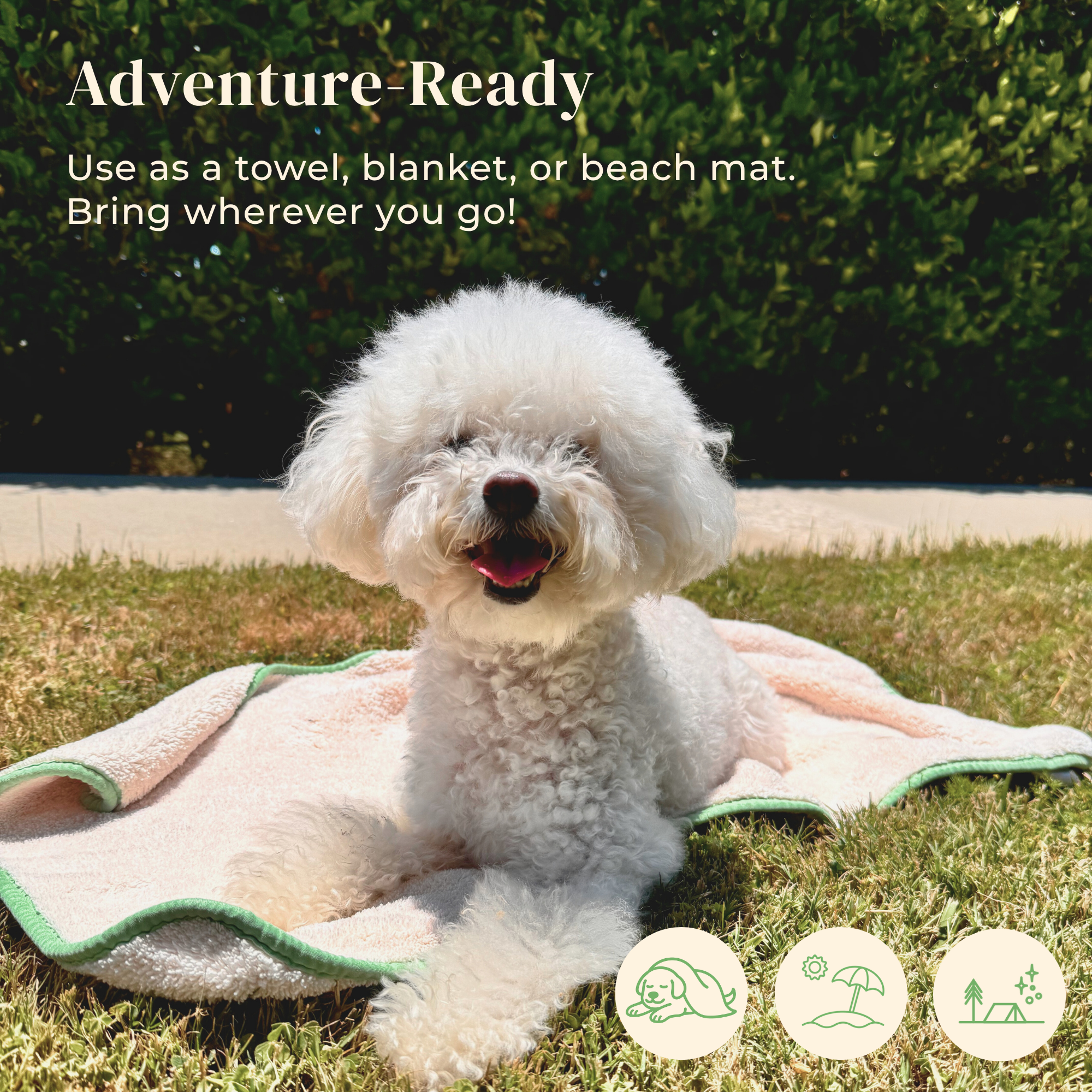 petora - Wholesale Pet Towel - Cat/Dog - RUB ME MORE Pet Spa Towels Set8