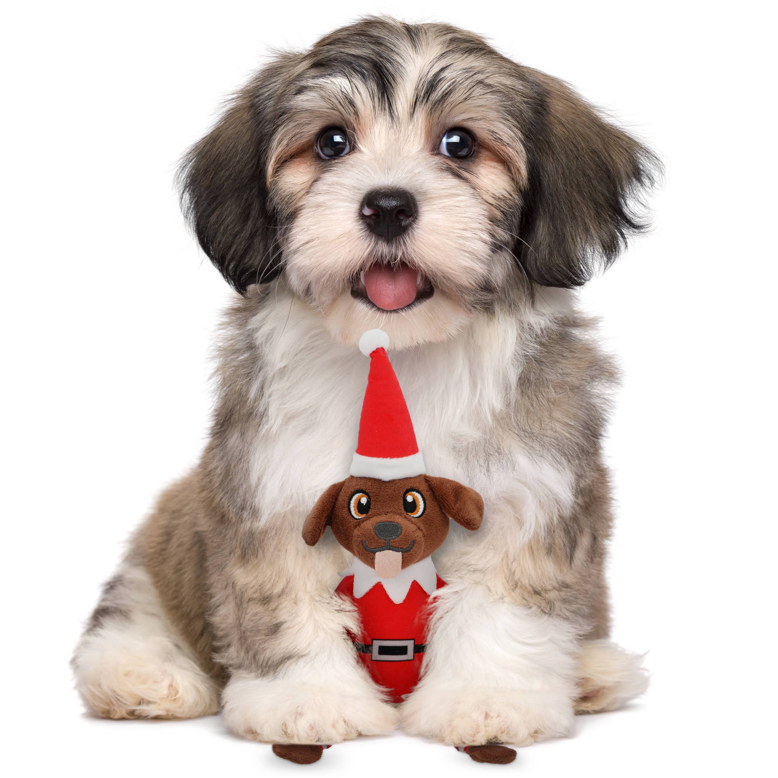 PUPROAR - Wholesale Pet Squeaky Toy - Dog - Pooch On A Perch- Christmas Dog Toys, Squeaky and Crinkly 1