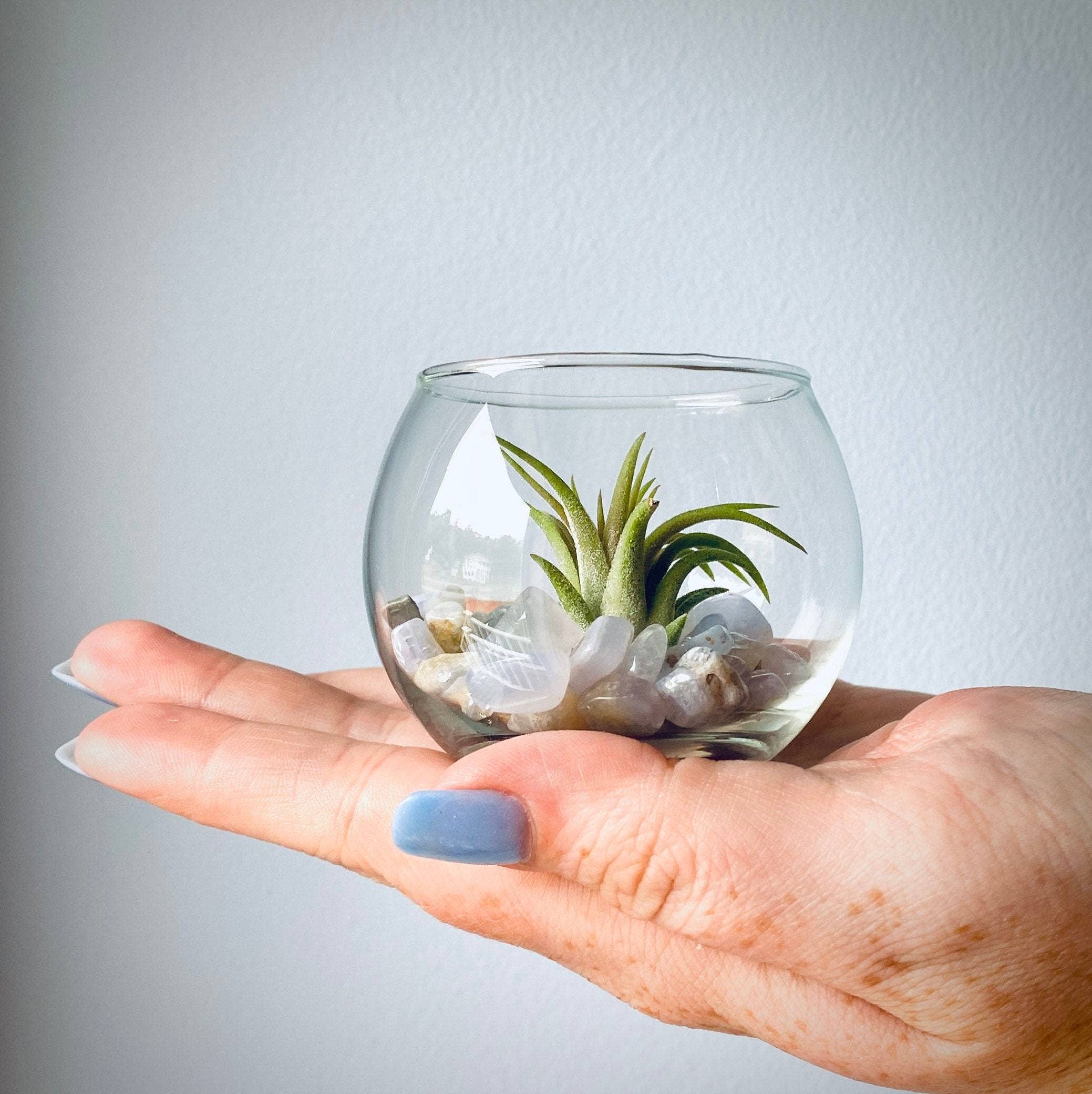 The Simply Crafty Shop - Wholesale Terrarium - Mini Bubble Terrarium Kit- Semi-Precious Stone34