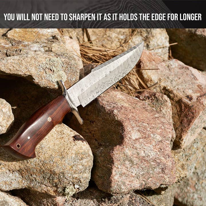 BigCat Knives - Vente Couteau de poche/étui - Couteau de chasse Raptor Damas2