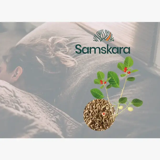 Samskara - Vente Poudres protéinées/superaliments - Poudre d'Ashwagandha bio | Régule le stress et le sommeil4