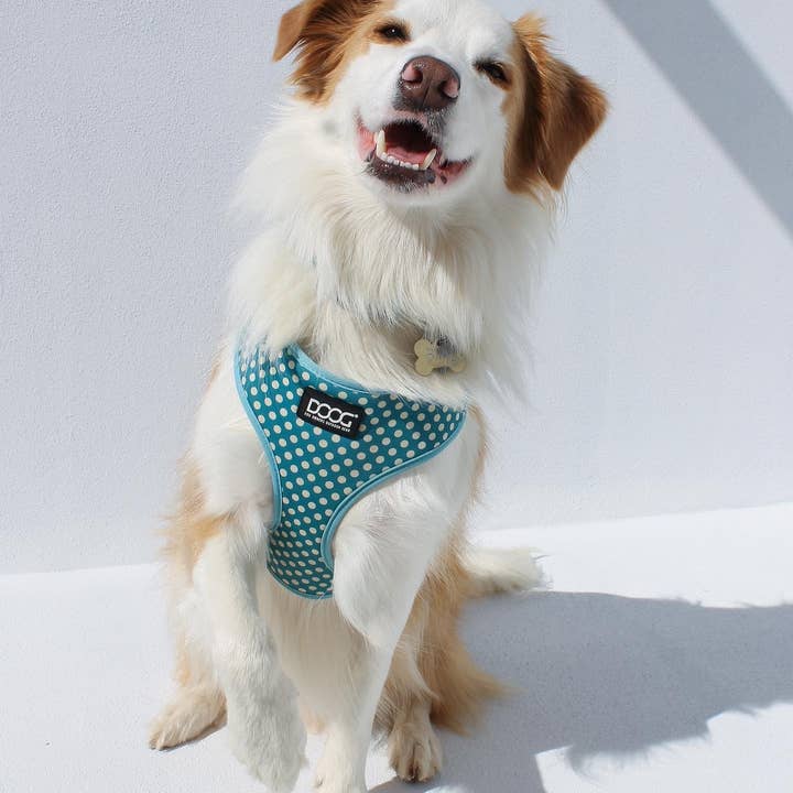 DOOG & Outback Tails & Country Tails - Wholesale Pet Harness - Dog - 'Neoflex' Soft Harness -SNOOPY