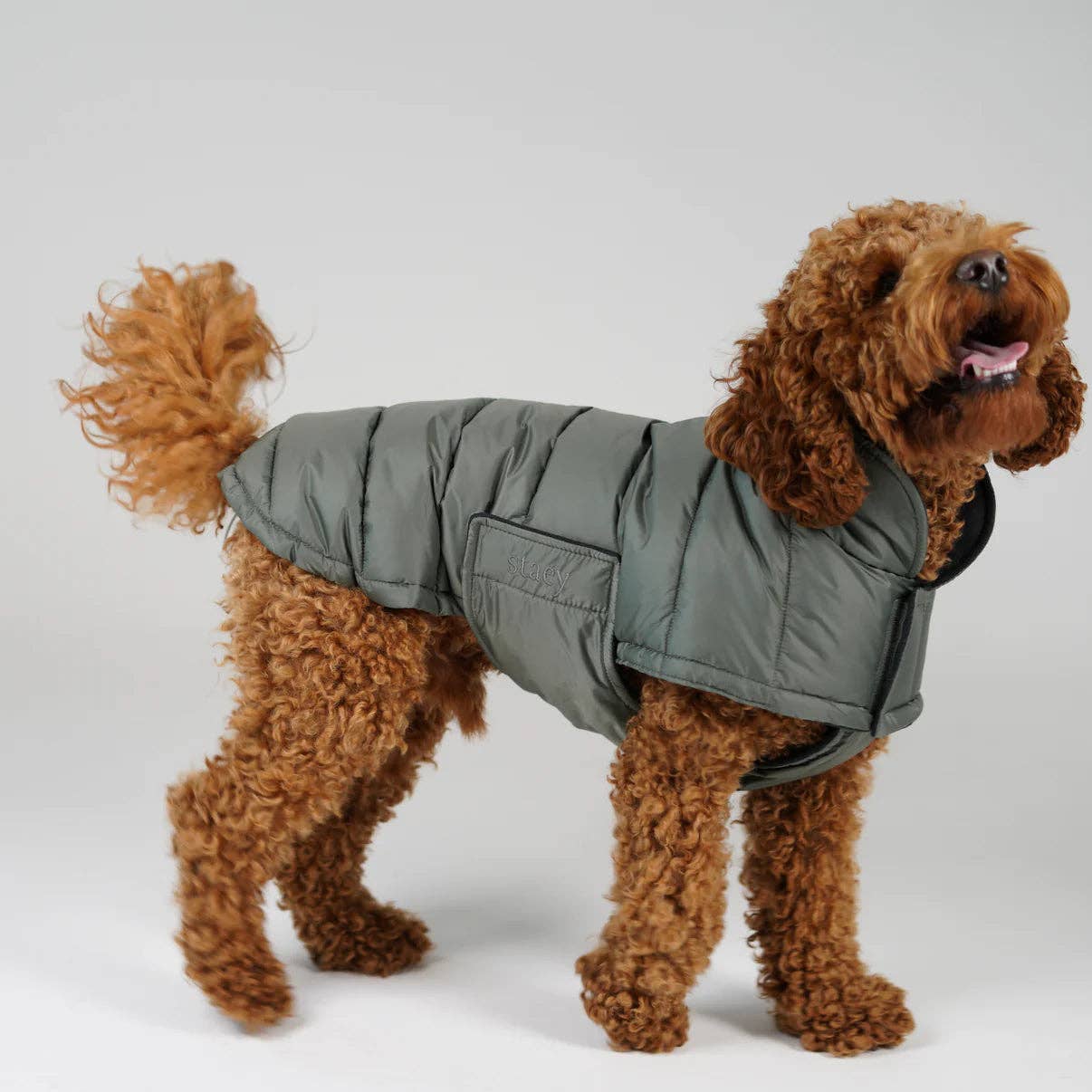 Staey - Wholesale Pet Jacket - Dog - Nora Dog Coat | Moss Green4