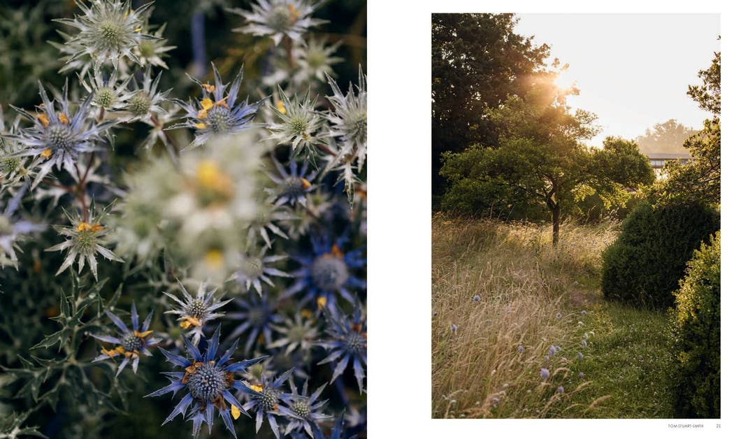 Chronicle Books - Wholesale Home & Garden - Wonderlands2