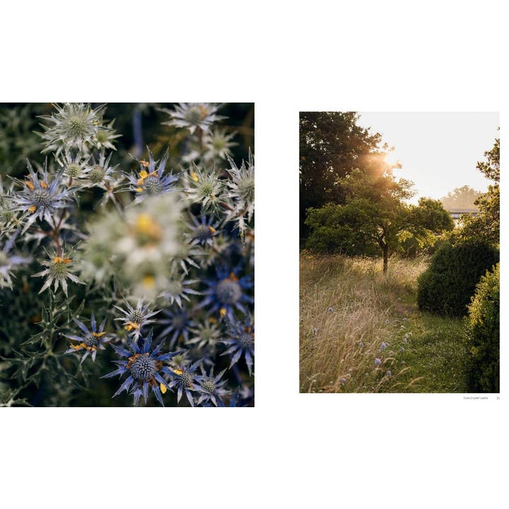 Chronicle Books - Wholesale Home & Garden - Wonderlands2