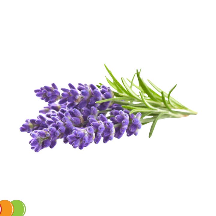 Lavender Flavoring for wholesale by OOOFlavors.com