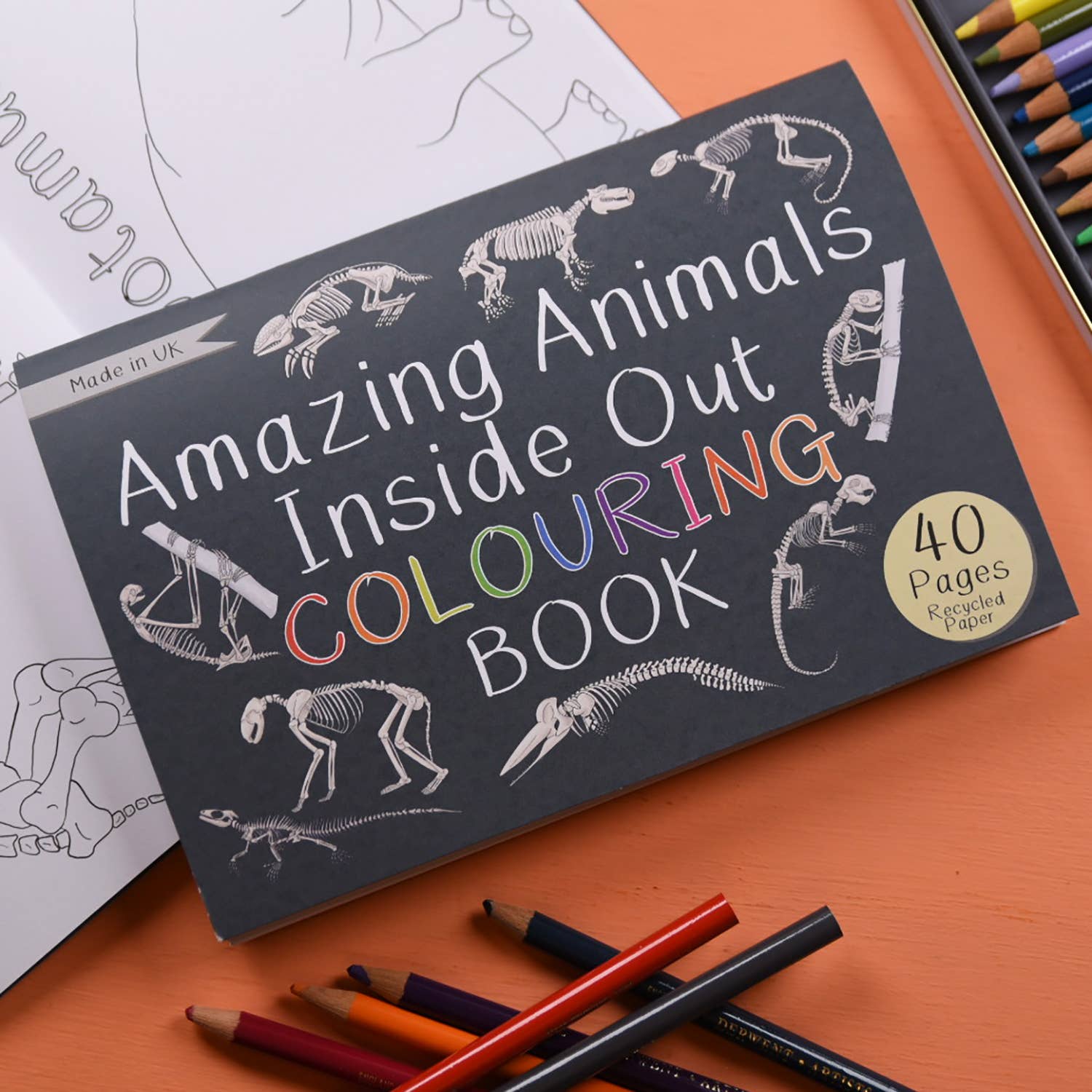 Button & Squirt – wholesale Colouring and activity book – kids and baby – Amazing Animals Inside Out Colouring Book1