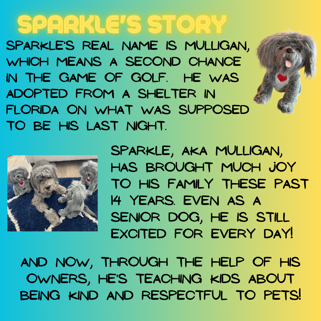 Bene World Toys - Wholesale Stuffed/Plush Toy - Kids & Baby - Stuffed dog with storybook pet care gifts for kids7