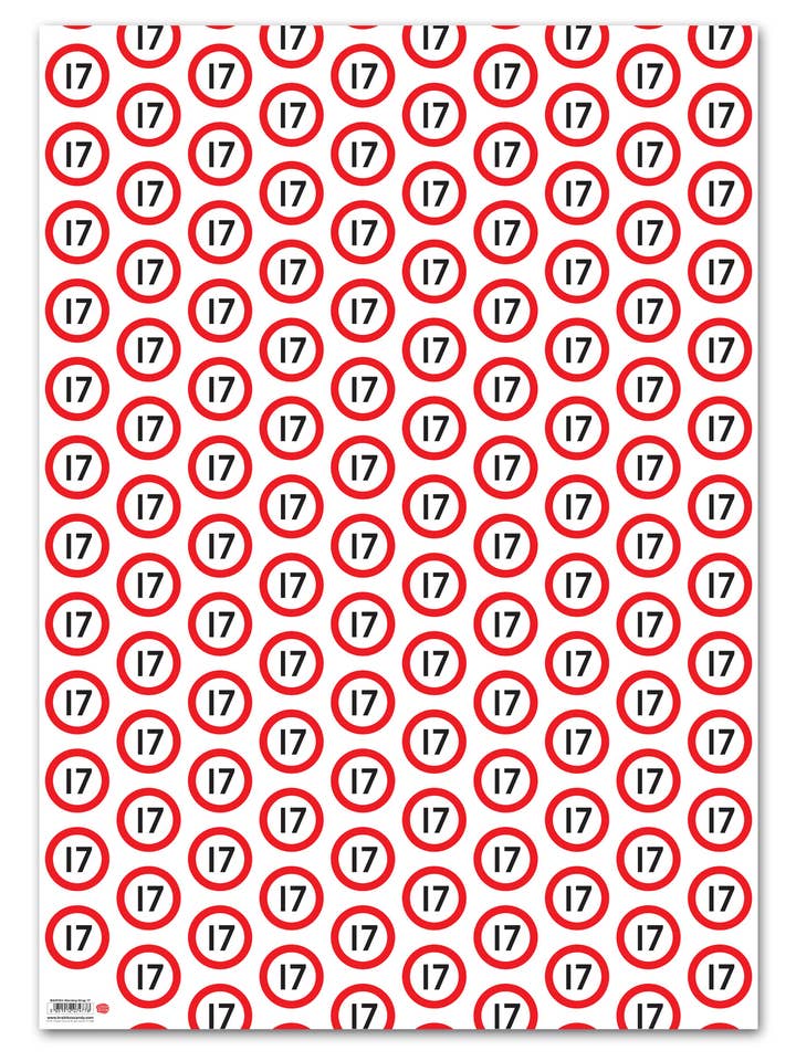 17th Birthday Gift Wrap - Warning **Pack of 2 Sheets Fold for wholesale by Brainbox Candy