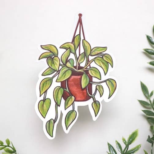 Pothos Sticker | Plant Sticker | Waterproof Sticker for wholesale by CarleyBethCreations