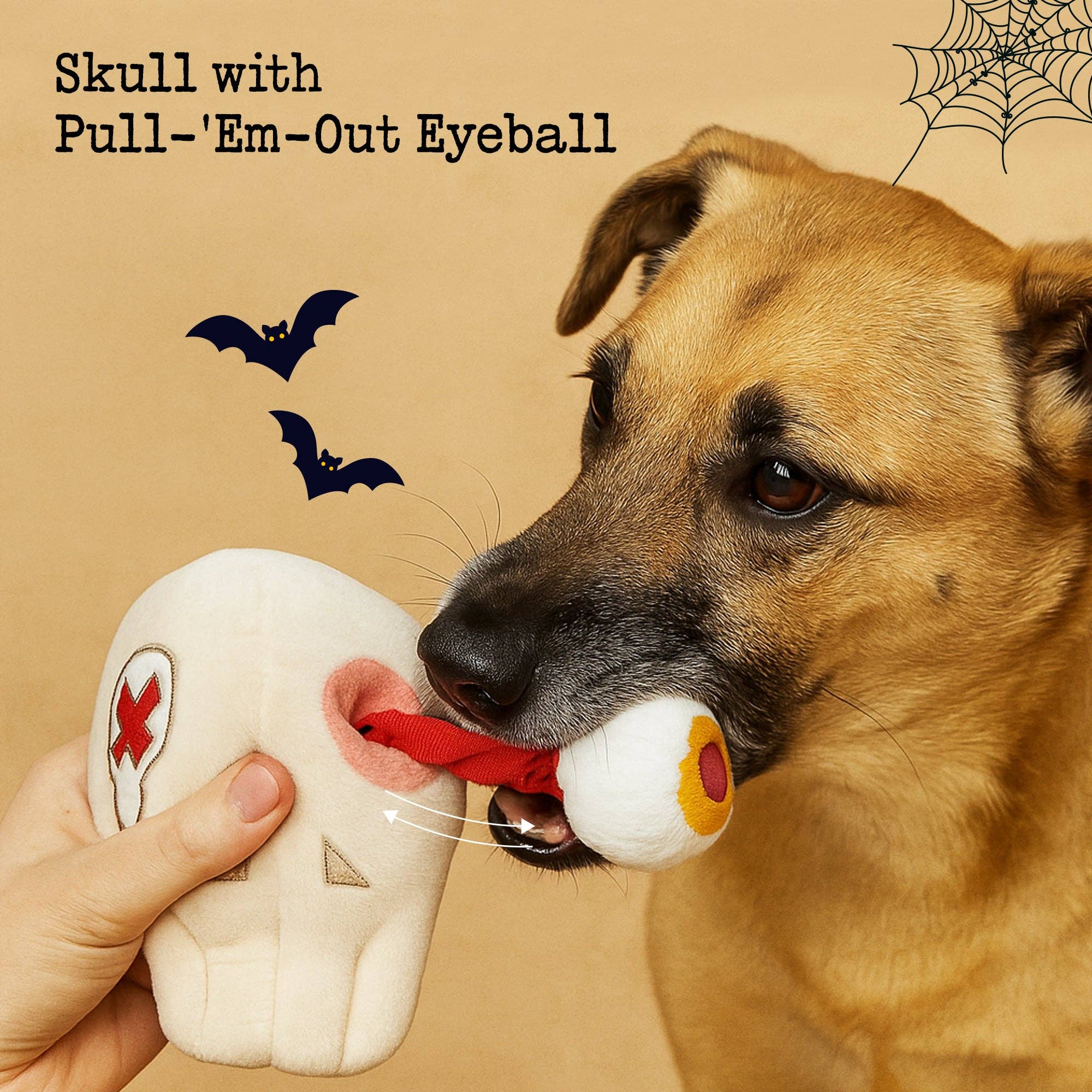 Nocciola – Großhandel Plüschtier – Hund – 10 STK Halloween-Hundespielzeug-Sparpaket6