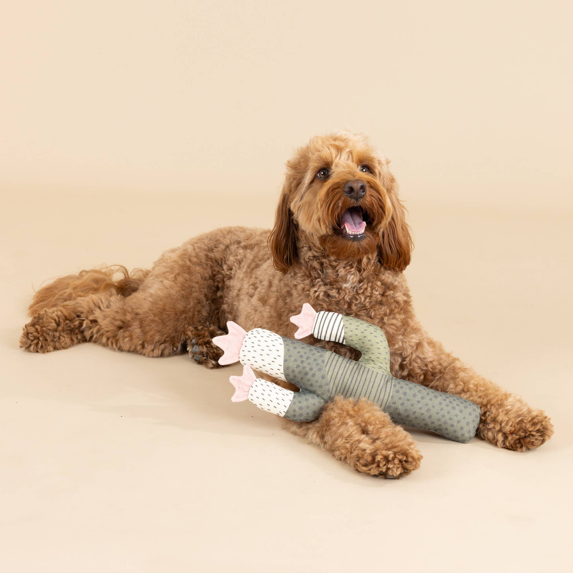 Petshop by Fringe Studio - Vente Jouet couineur – chien - JOUET POUR CHIEN CANVAS SQUEAKER I CAN BE A BIT PIQUANT3