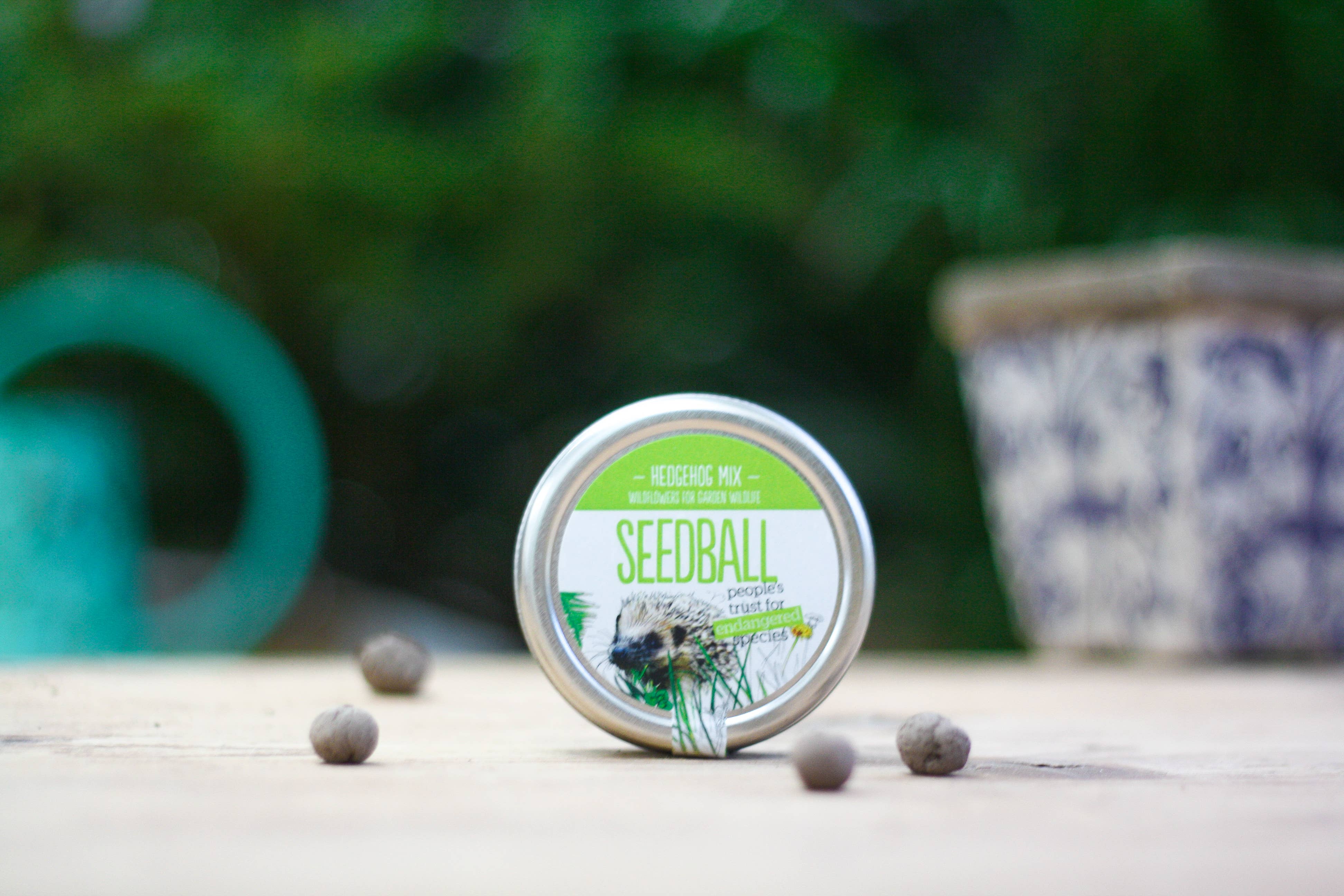 Seedball - Wholesale Plant Seeds - Hedgehog Mix Seedball Tin4