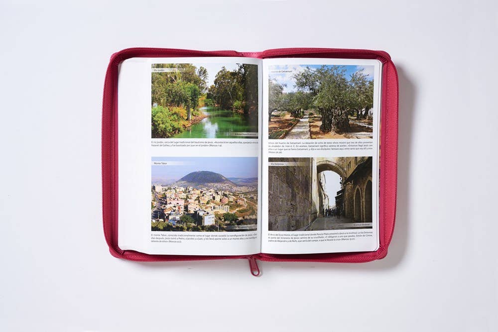 HarperCollins Christian Publishing - Wholesale Religion - RVR60, Santa Biblia, Tierra Santa, Ultrafina, Letra grande9