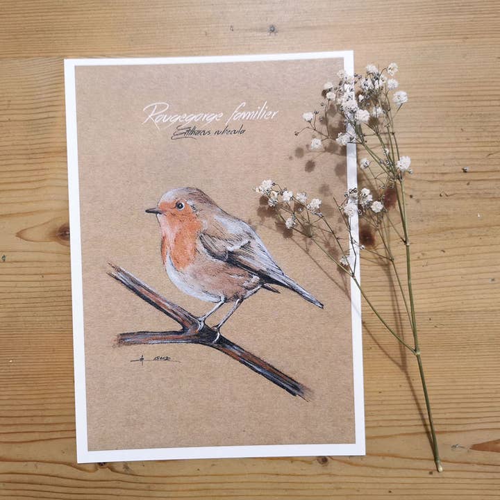 Poster redthroat 15 x 21 cm por atacado de Ma Patte Laisse Des Traces