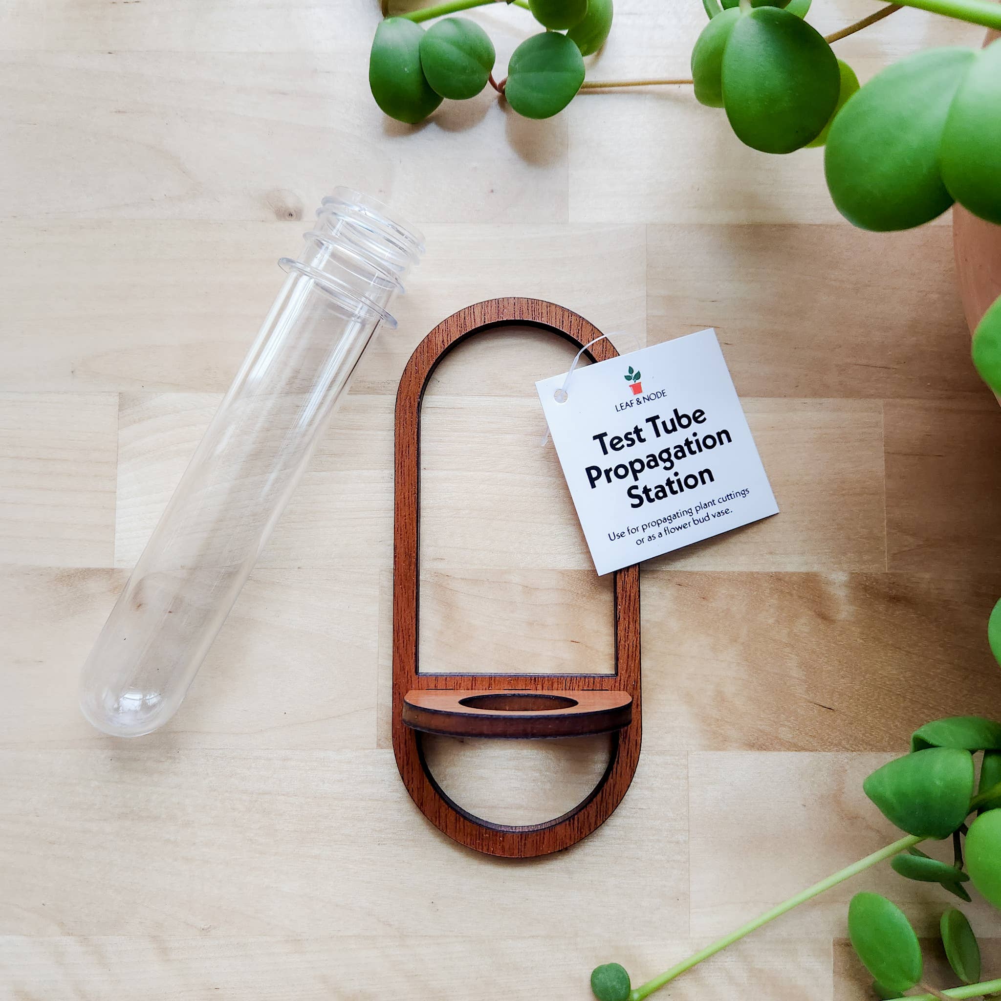 Leaf & Node - Wholesale Hanging Planter - Wall Hanging Propagation Station - Oval Test Tube Holder6