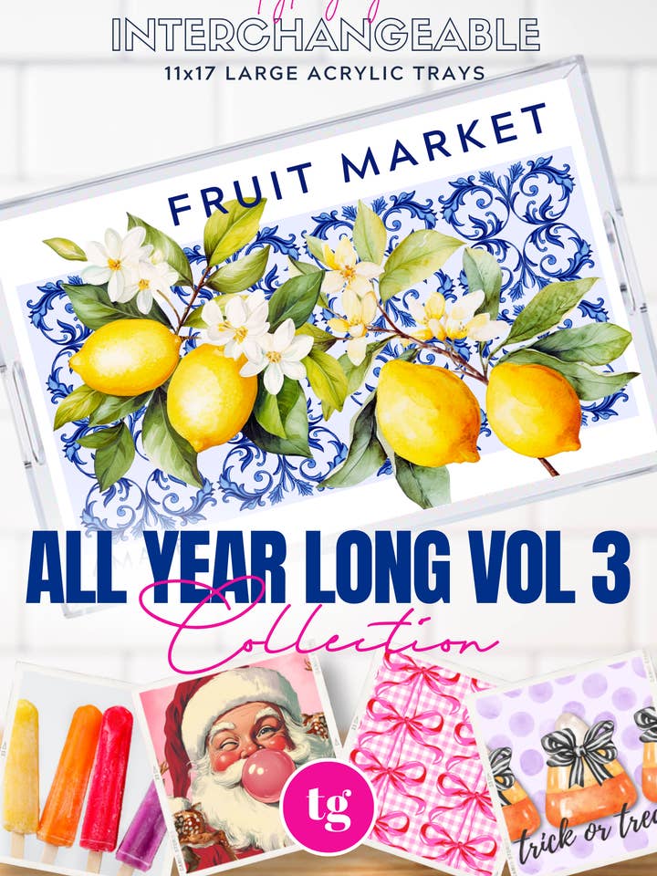 11x17 ALL YEAR LONG VOL 3 insert set of 12 for wholesale by TAYLOR GRAY