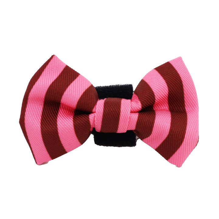 Rodnande ränder: Kattfluga för wholesale av Pablo & Co. Boutique