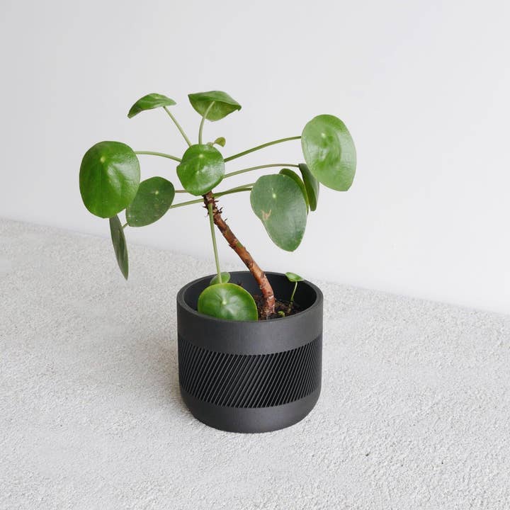 MINIMUM DESIGN – Engroshandel Plantekrukke – Indendørs trækasse til planter – Beige, sort, grøn, mist hvid – Therma2