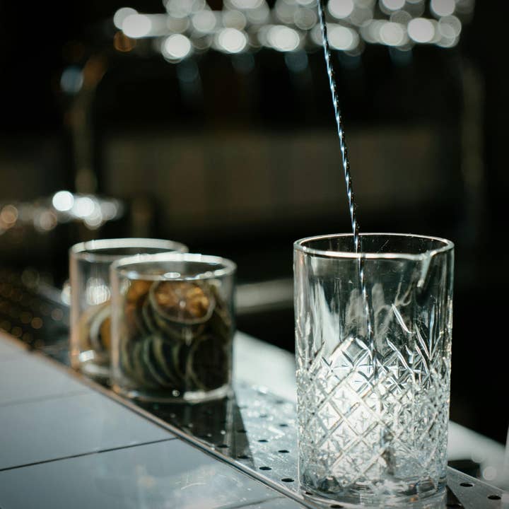 PRESERVED PEEL - Wholesale Dried/Dehydrated Fruit - Dehydrated Lime Slices – BULK SIZE | 270± Slices | DRIED FRUITS for Cocktail Garnish & More3