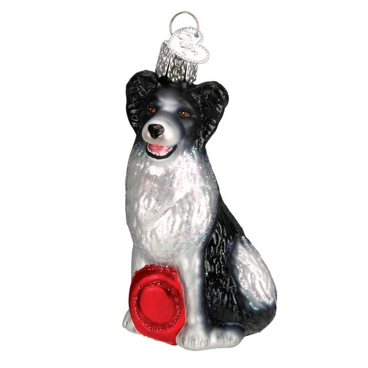 Border Collie Ornament Old World Christmas Ornament 12302 for wholesale by Trendy tree