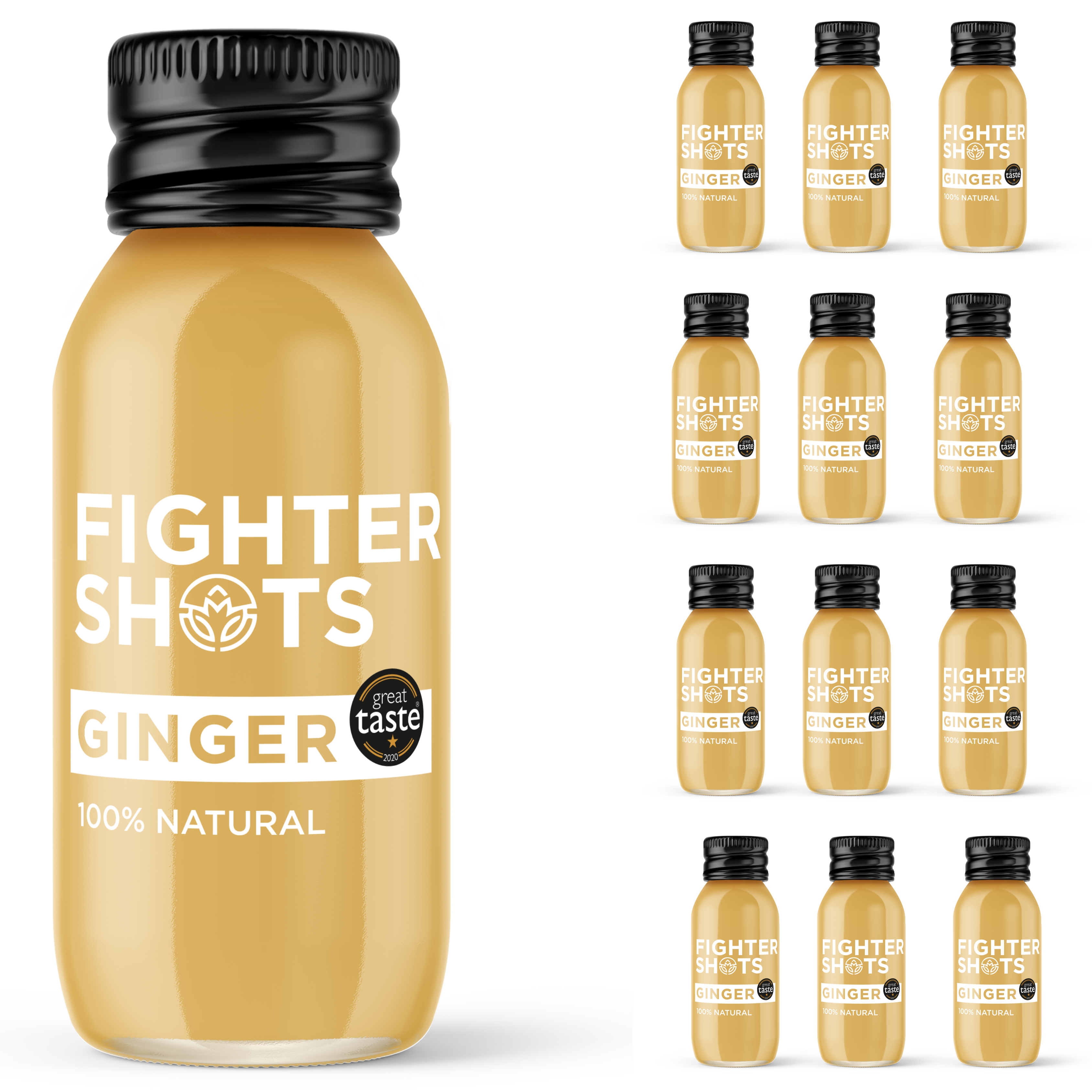 Fighter Shots - Wholesale Wellness Juice/Tonic - Ginger - organic cold pressed ginger, glass bottle, 12x60ml15